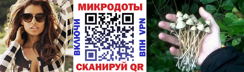 Псилоцибиновые грибы MAGIC MUSHROOMS  купить наркоту  Симферополь 